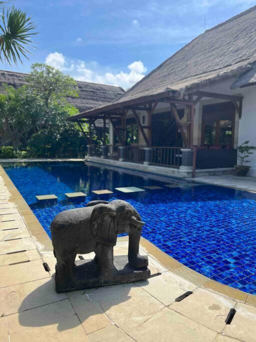 Bali Berg Villa, Sanur Exteriér fotografie